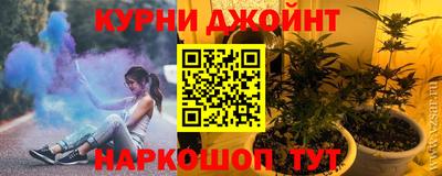 шишки Бердск