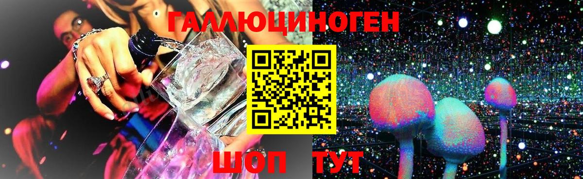Ярцево  Галлюциногенные грибы Cubensis  Вход с VPN  Псилоцибиновые грибы MAGIC MUSHROOMS 